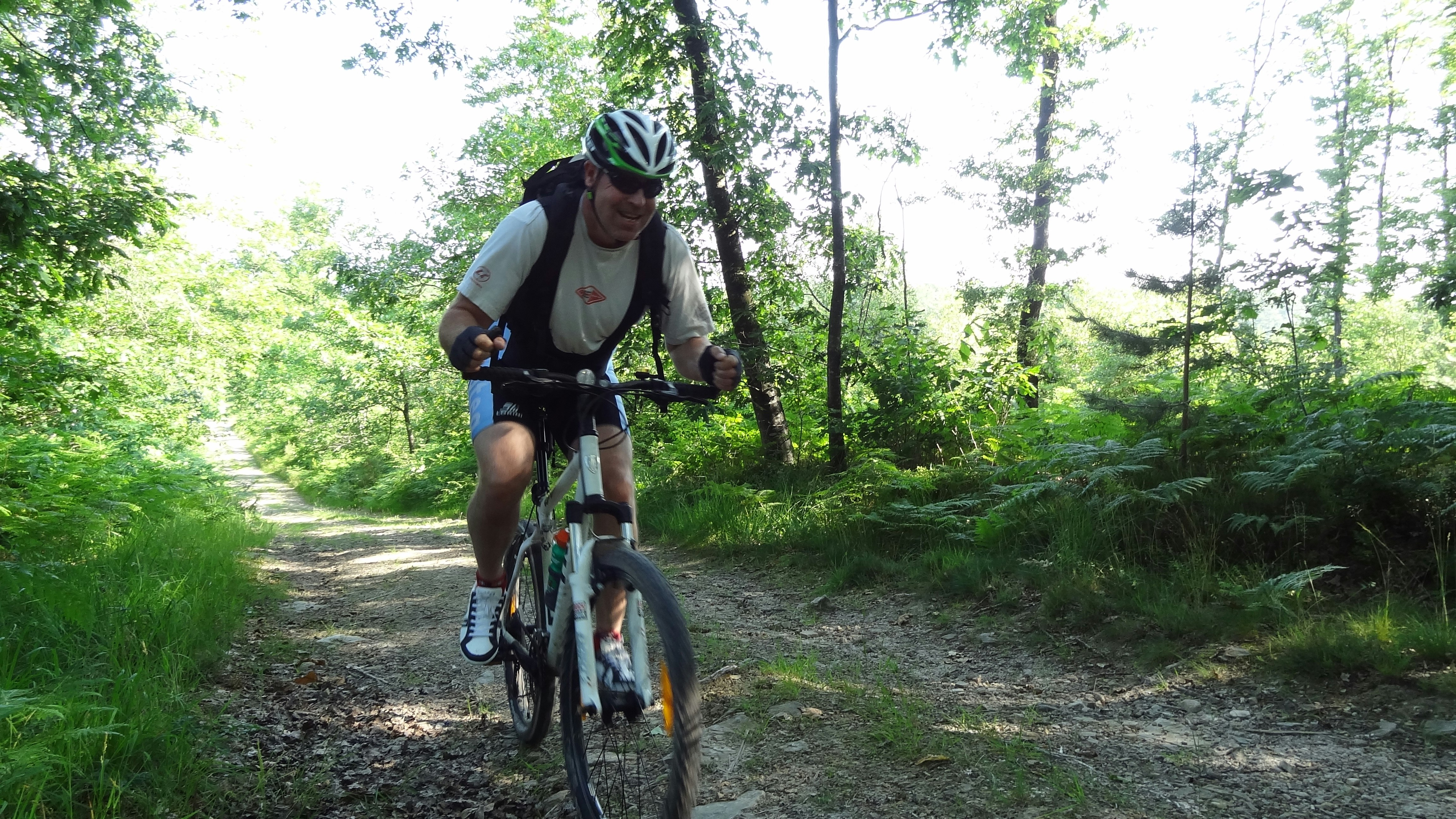 Camping Les Tournesols - Fahrradwege im Wald in der Umgebung des Campingplatzes