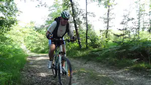 Camping Les Tournesols - Fahrradwege im Wald in der Umgebung des Campingplatzes