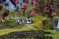 Camping les Trois Châteaux  -  Stellplatz vom Campingplatz zwischen blühenden Bäumen