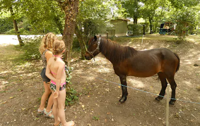 Camping Les Trois Lacs