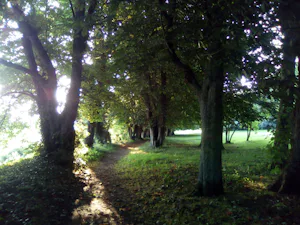 Camping Les Trois Rivières