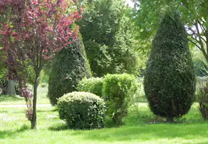 Grüner Rasen mit Hecken und Bäumen im Campinggarten, darunter ein kleiner blühender Baum und kugelförmige Sträucher.