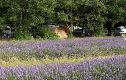 Flower Camping Les Truffières