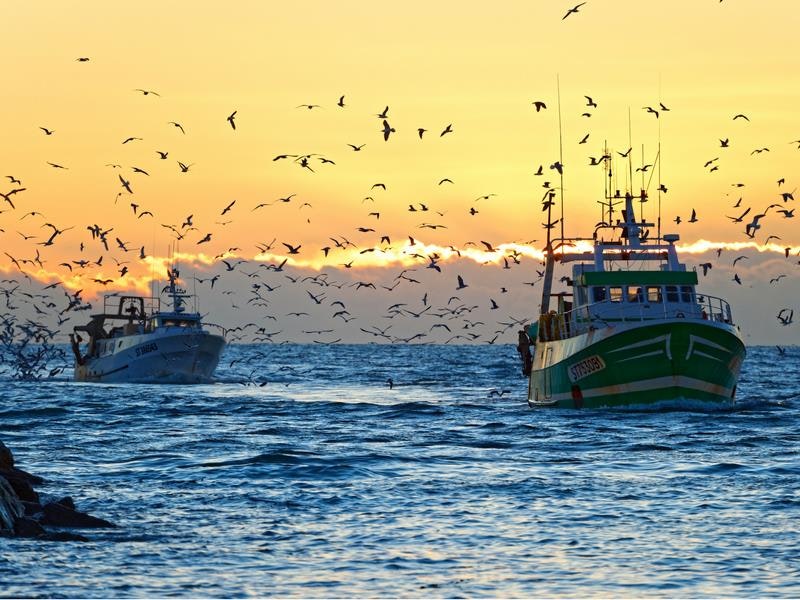 Camping L'Espiguette