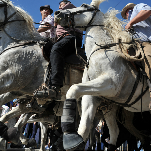 Camping L'Espiguette
