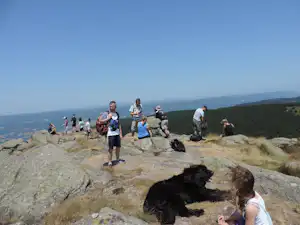 Wanderer auf einem Felsgrat mit Hunden, Blick ins Tal und bewaldete Hügel im Hintergrund.