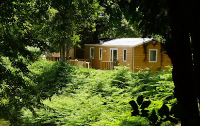 Camping Lestap