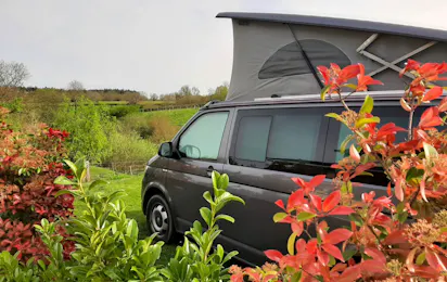 Estefana Camping