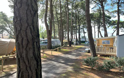 Camping l'Estuaire