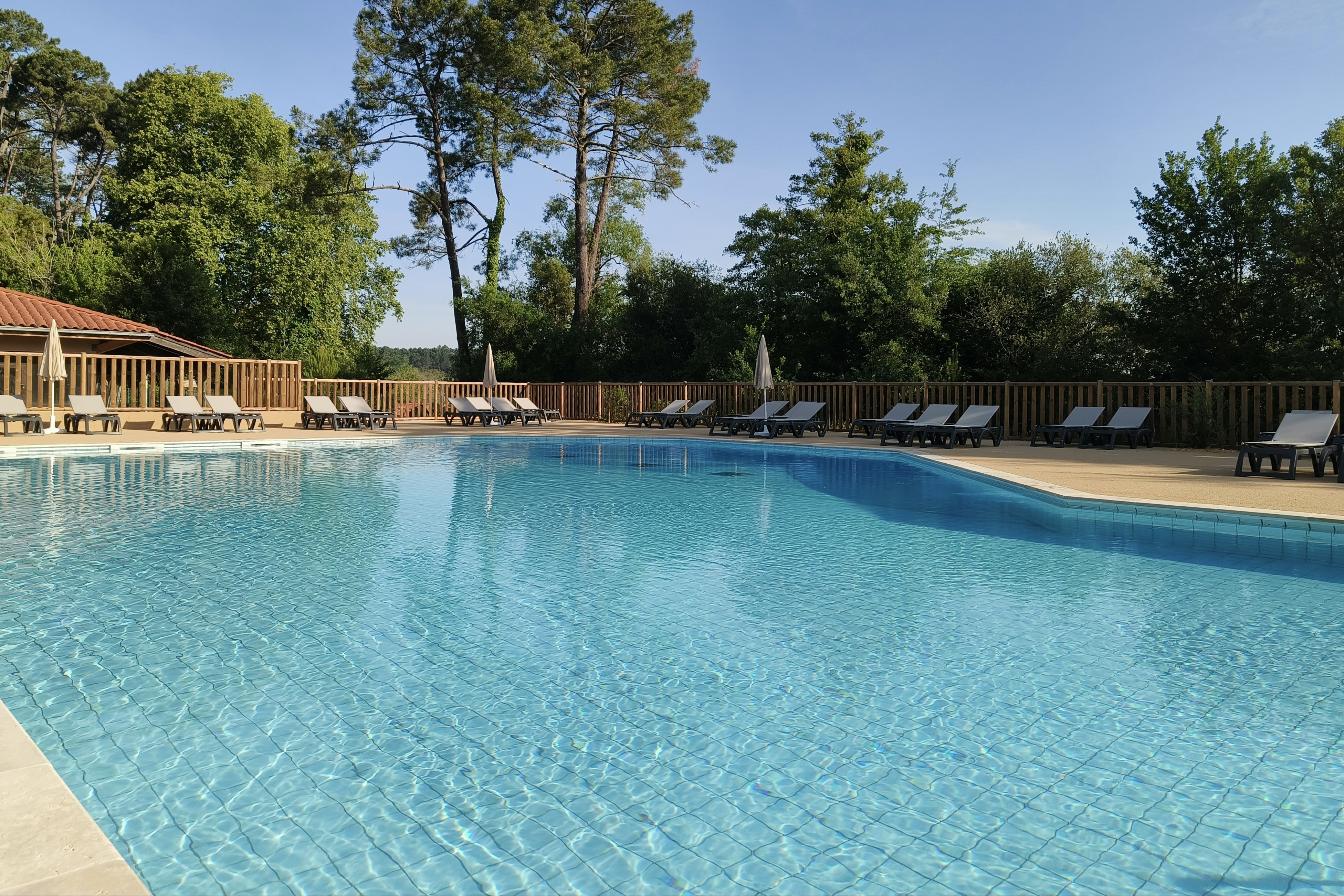 Camping L'Etang Blanc  - Pool im Freien mit Liegestühlen und Sonnenschirmen