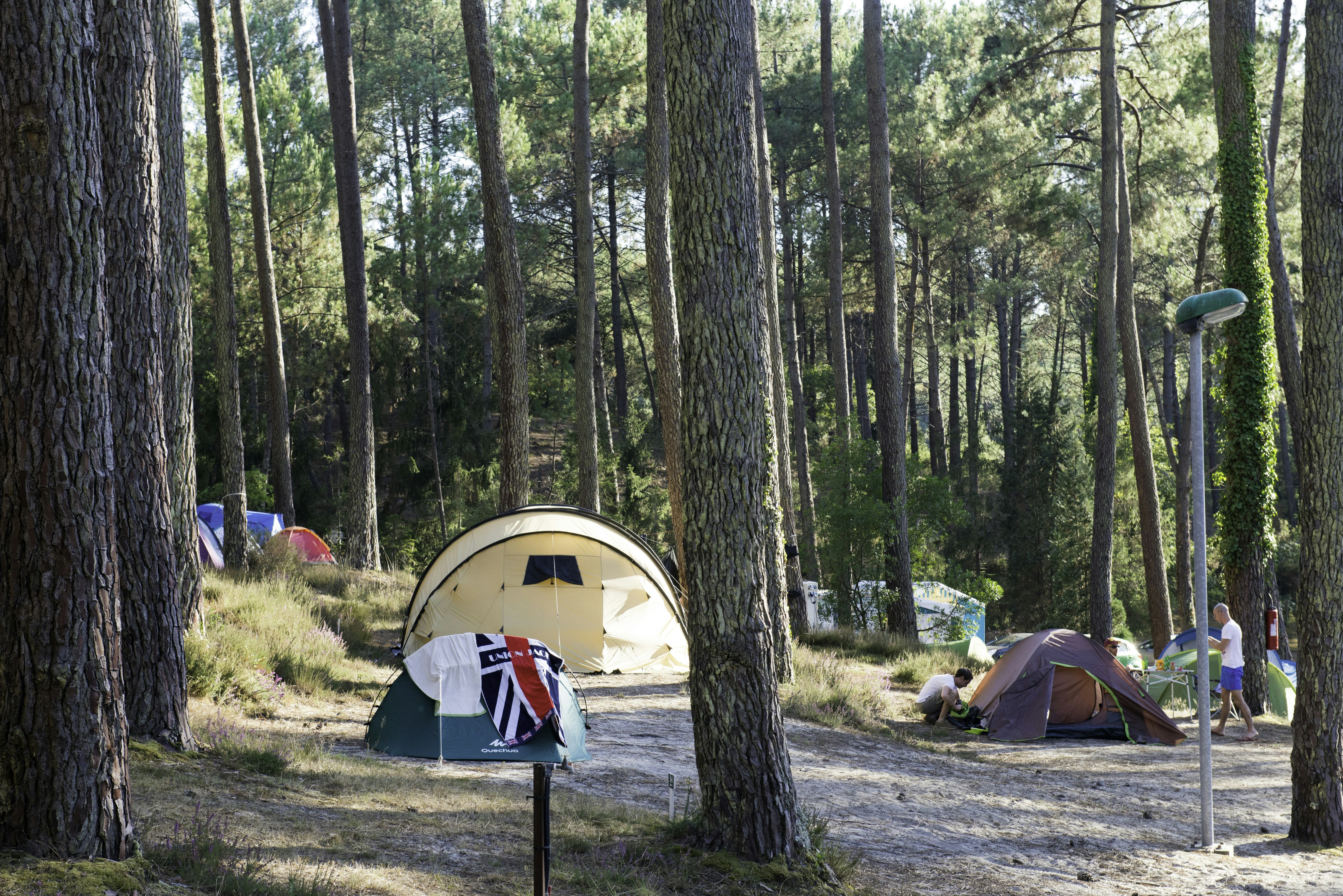 Camping L'Etang Blanc - Standplätze zwischen den Bäumen auf dem Campingplatz