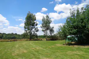 Campingwiese mit Bank, mehreren Bäumen und einem grünen Zelt am Rand unter blauem Himmel mit Wolken.