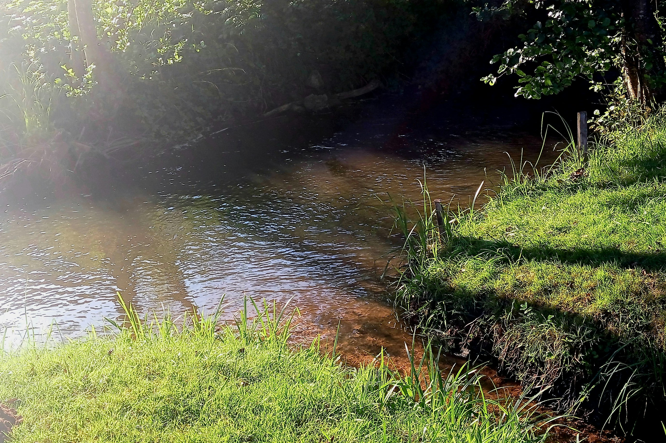 Camping Leukbachtal - Blick auf den Bach am Campingplatz