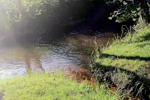 Camping Leukbachtal - Blick auf den Bach am Campingplatz
