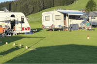 Camping Leutswil  -  Wohnwagen- und Zeltstellplatz auf grüner Wiese auf dem Campingplatz