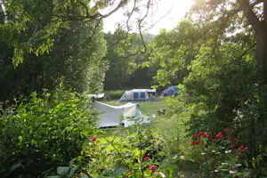 Campingzelt auf einer grünen Wiese, umgeben von Bäumen und Hecken, im Hintergrund weitere Zelte und Campingausrüstung.