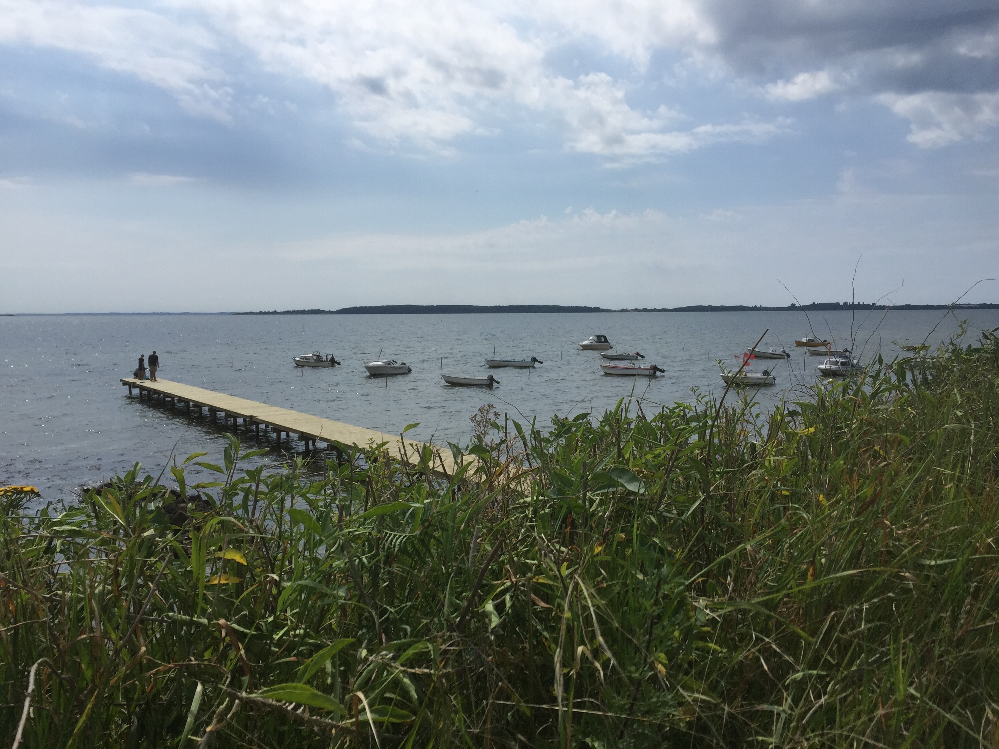 Camping Løgismosestrand