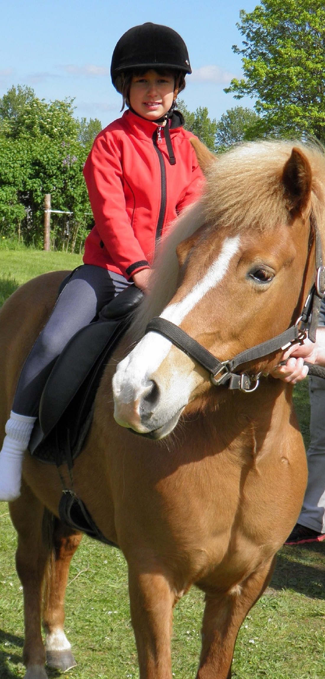 Camping Løgismosestrand