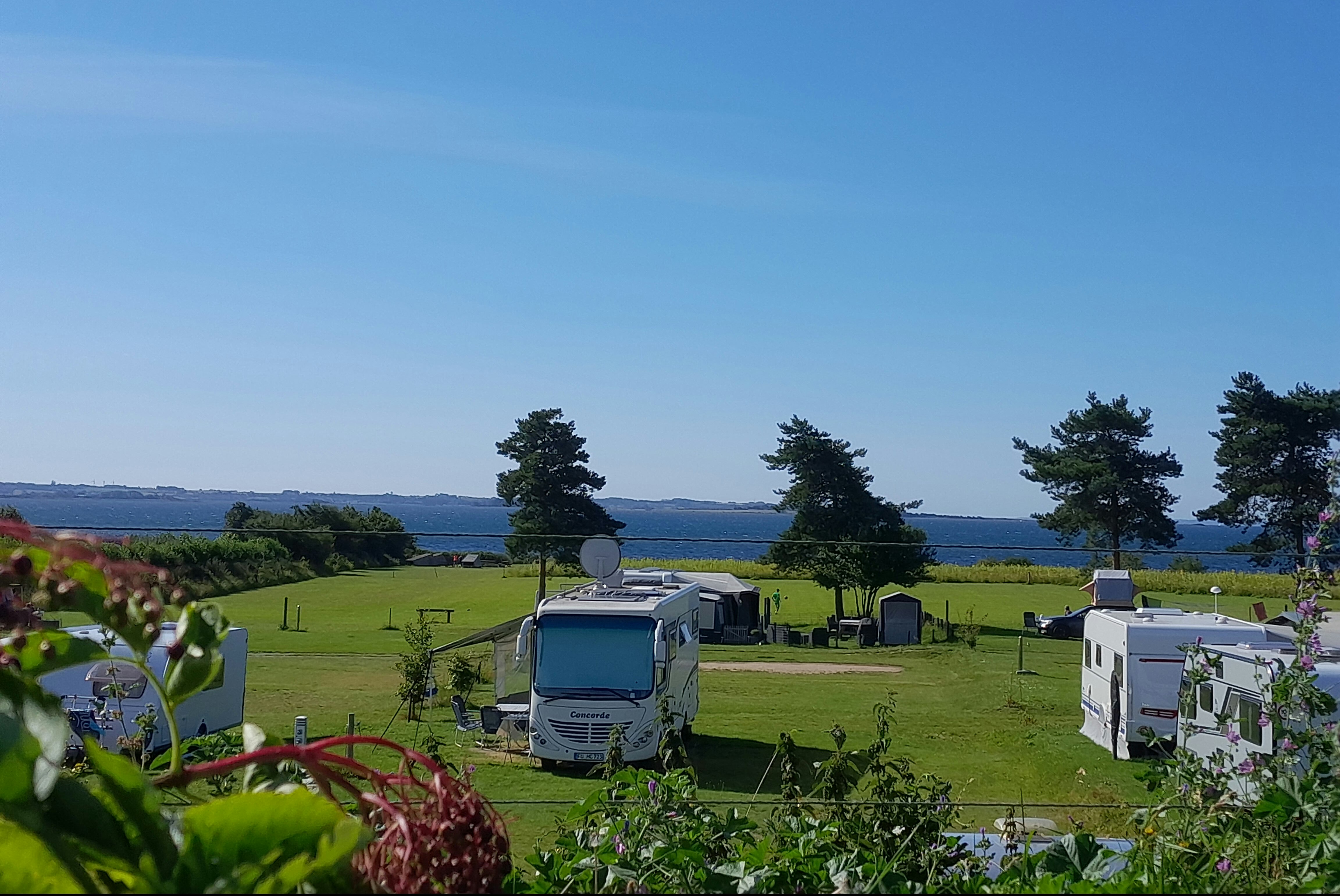 Camping Løgismosestrand - Standplatzwiese auf dem Campingplatz