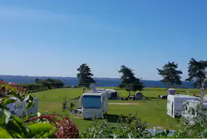 Camping Løgismosestrand - Standplatzwiese auf dem Campingplatz