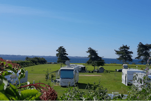 Camping Løgismosestrand - Standplatzwiese auf dem Campingplatz