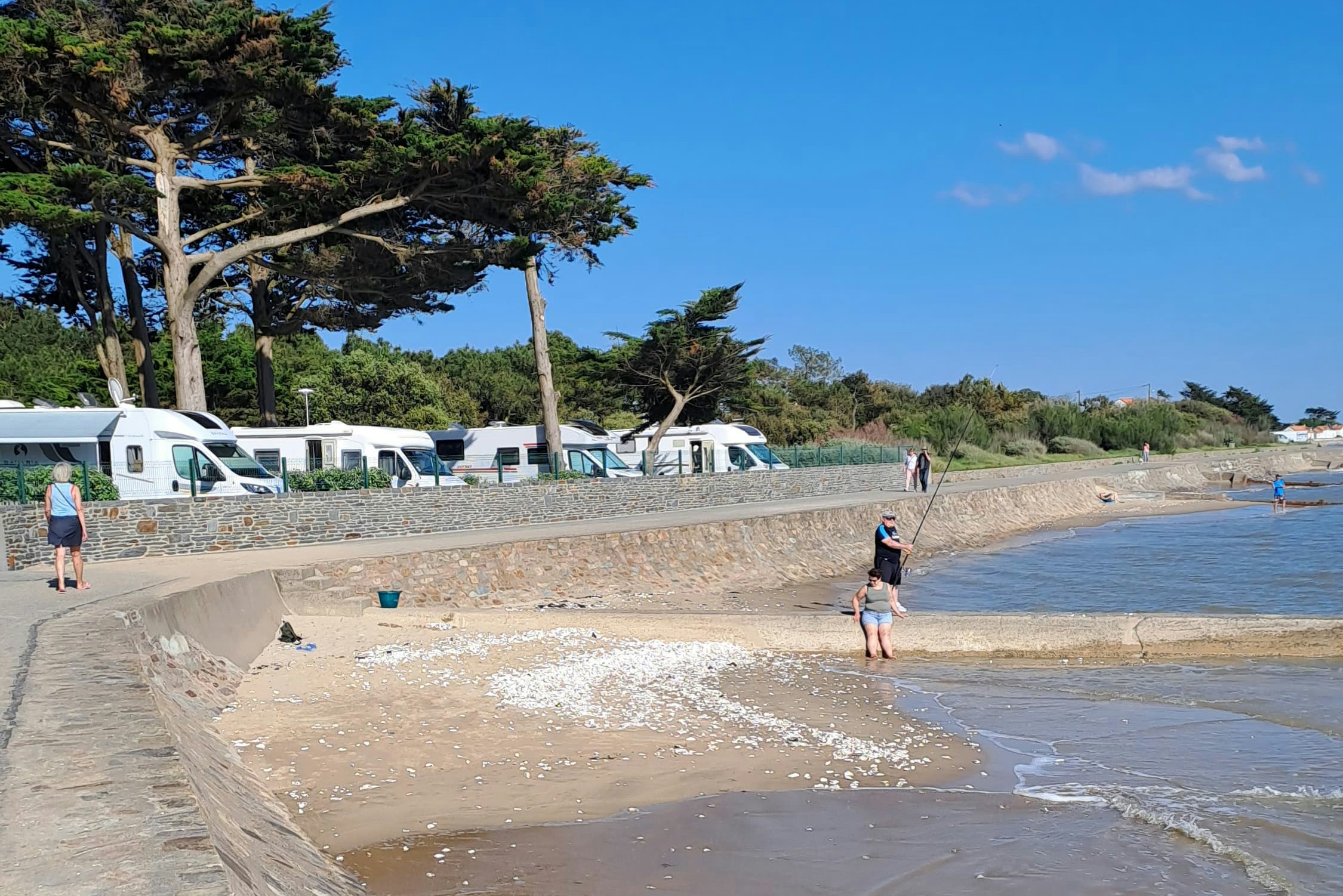 Wohnmobile am Strand hinter einer Natursteinmauer, Bäume und blauer Himmel, Menschen laufen am Ufer entlang.