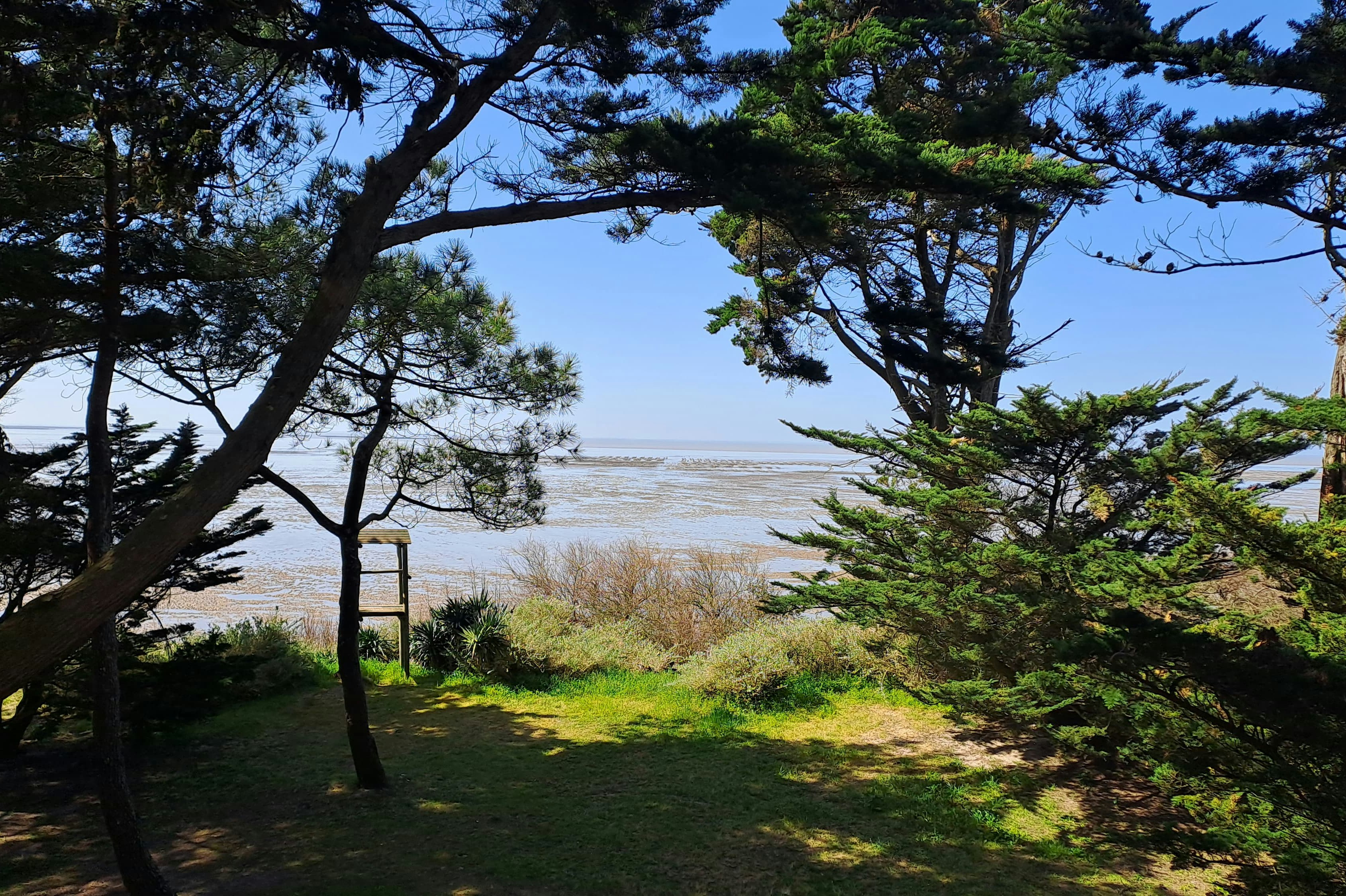 Blick auf den Strand durch hohe Bäume, mit Grasfläche und einem kleinen Holzsteg am Ufer.