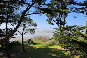 Blick auf den Strand durch hohe Bäume, mit Grasfläche und einem kleinen Holzsteg am Ufer.