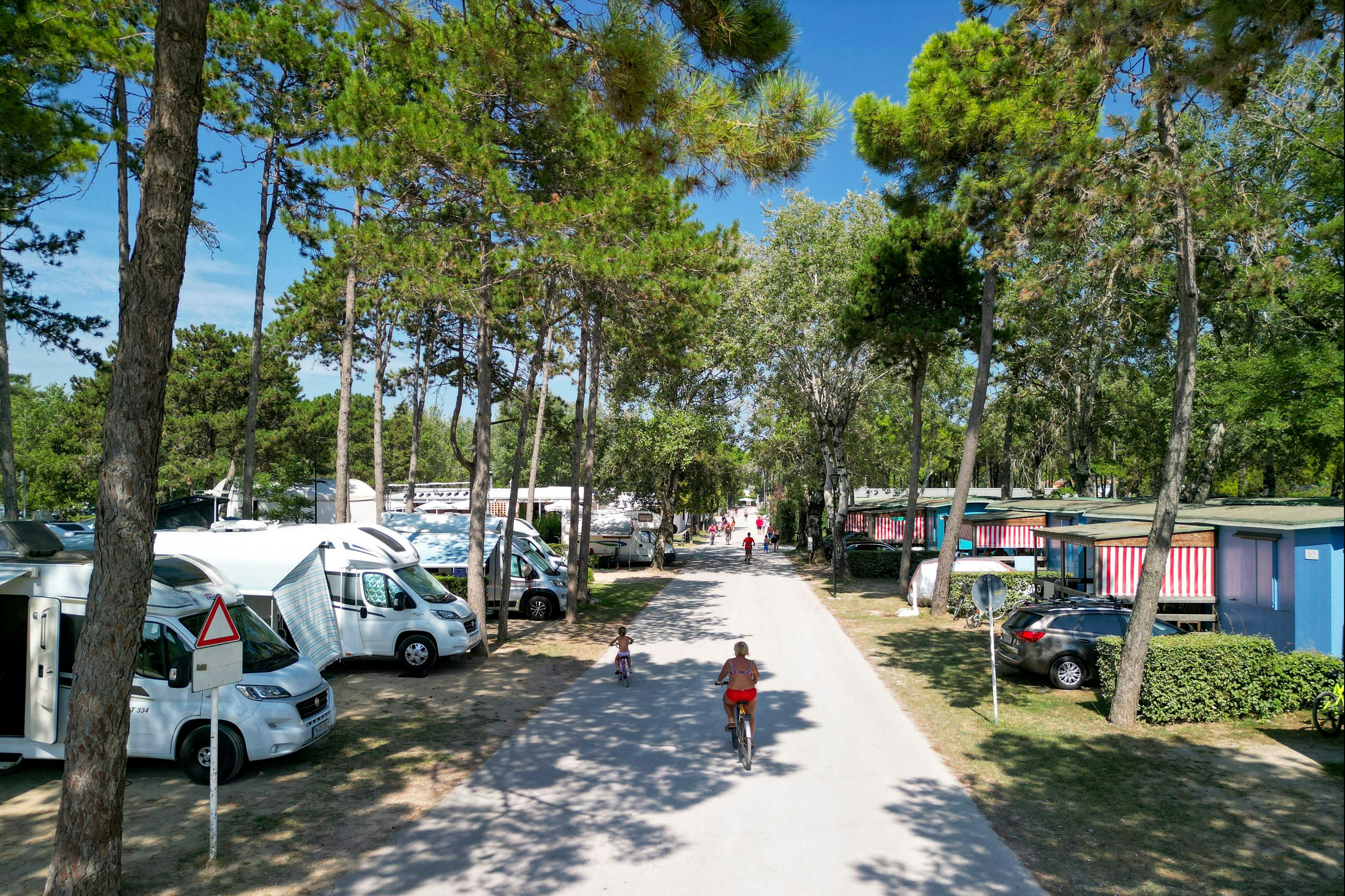 Camping Lido - Standplätze unter Bäumen auf dem Campingplatz