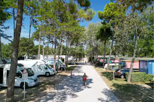 Camping Lido - Standplätze unter Bäumen auf dem Campingplatz
