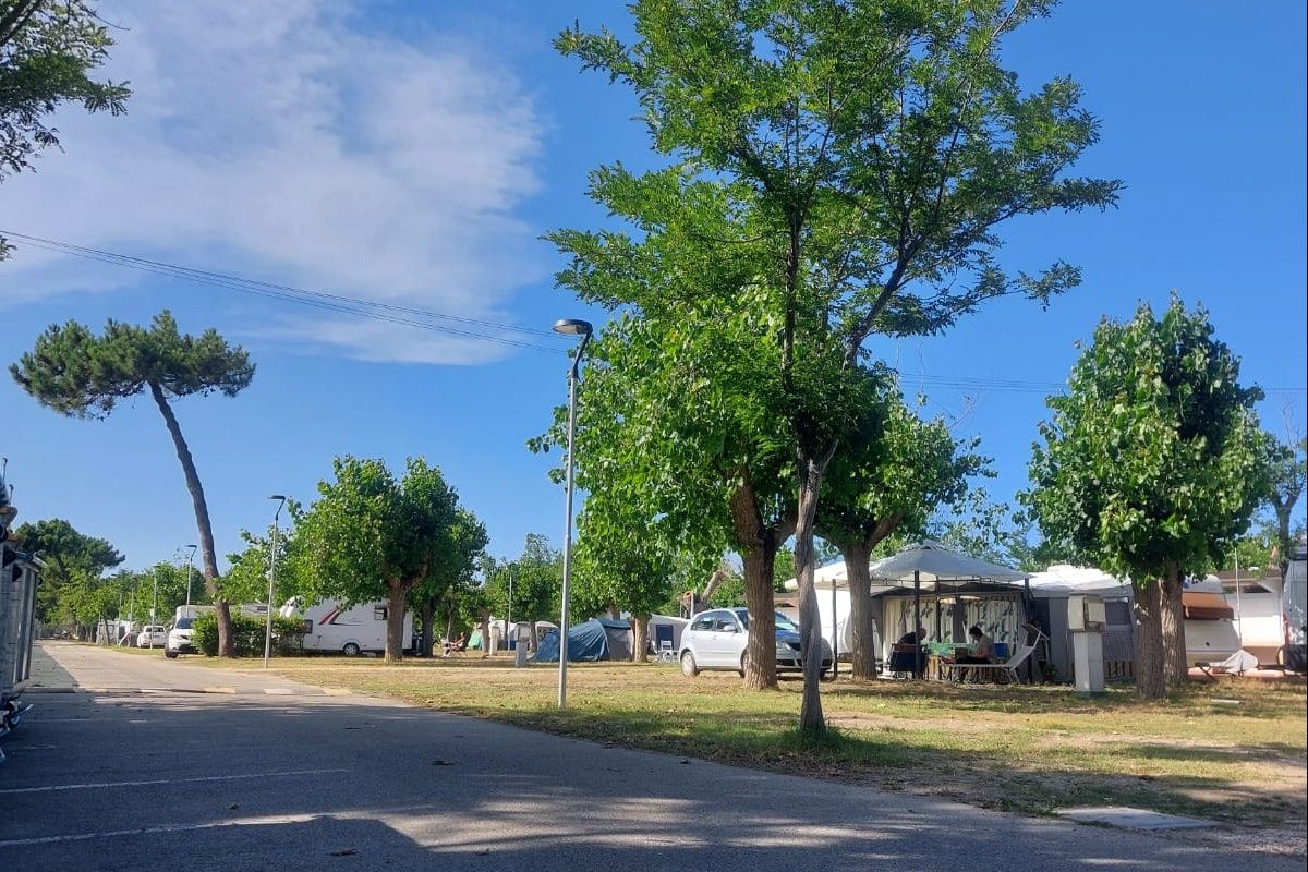 Camping Lido di Classe - Standplätze auf dem Campingplatz