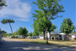 Camping Lido di Classe - Standplätze auf dem Campingplatz