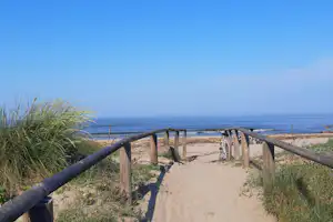 Camping Lido di Classe - Weg zum Strand in der Nähe des Campingplatzes