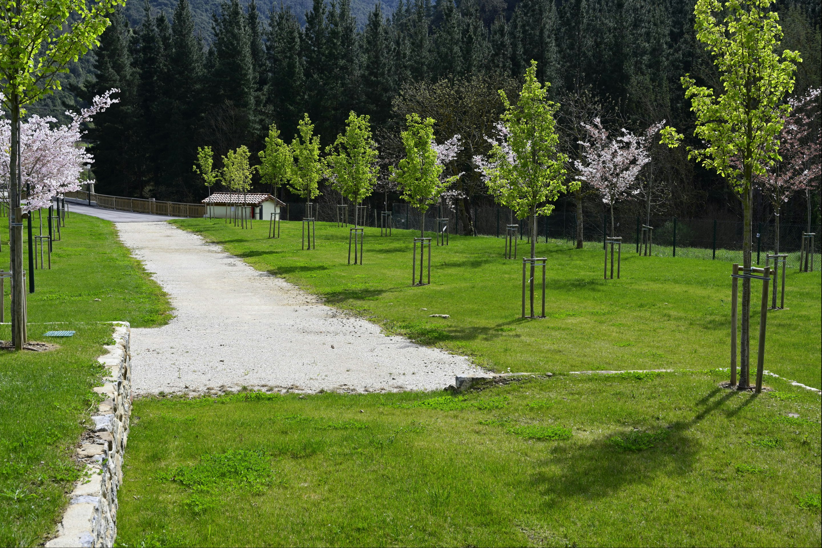 Camping Liébana - Standplätze im Grünen auf dem Campingplatz
