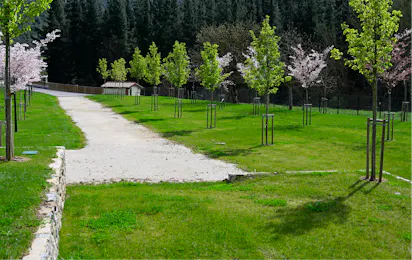 Camping Liébana