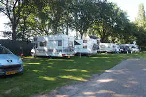 Camping Liesbos - Standplätze im Schatten