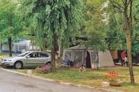 Camping Ligüerre de Cinca - Wohnwagen- und Zeltstellplatz vom Campingplatz zwischen Bäumen