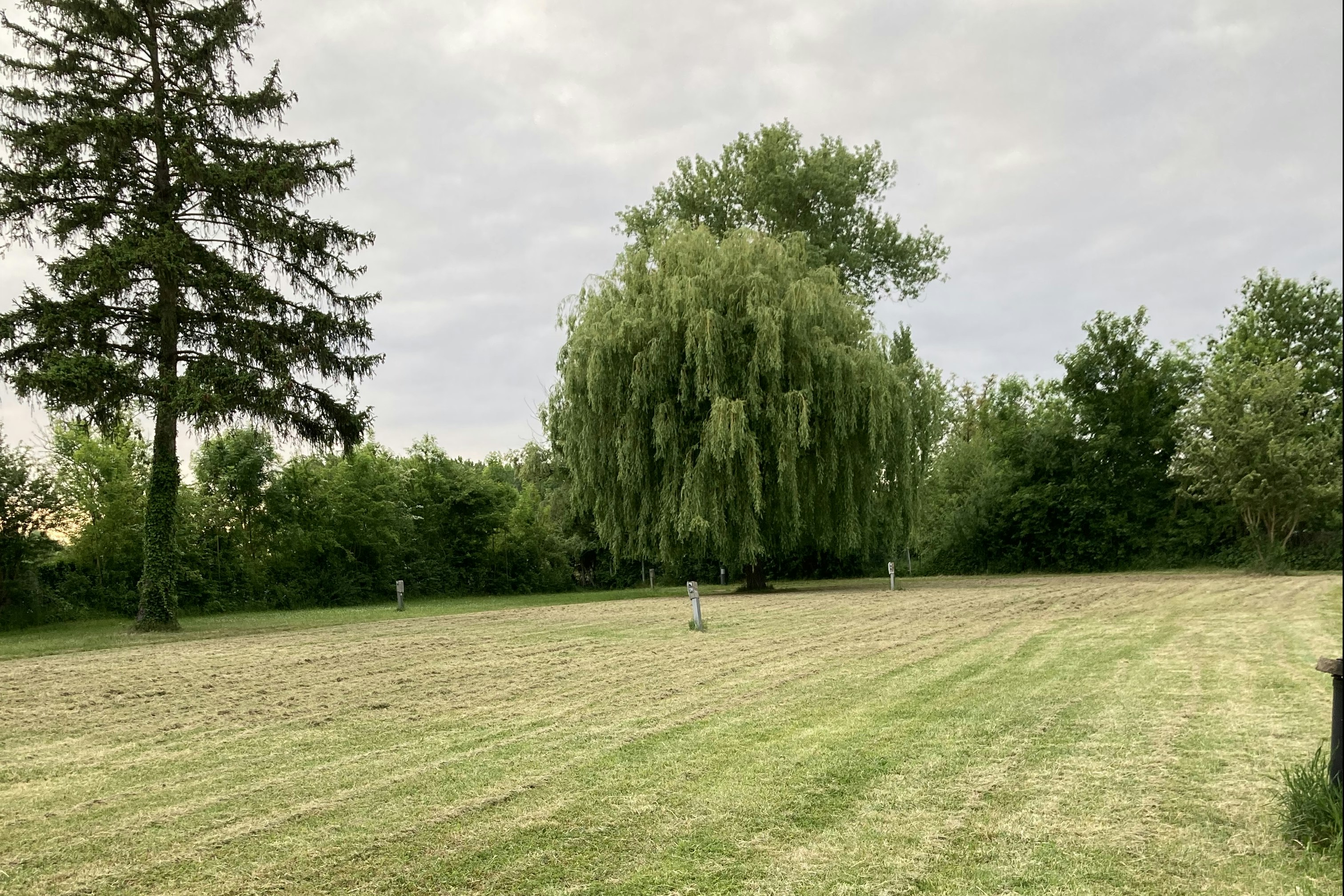 Camping l'Ile d'Amour - Standplätze auf der Wiese auf dem Campingplatz