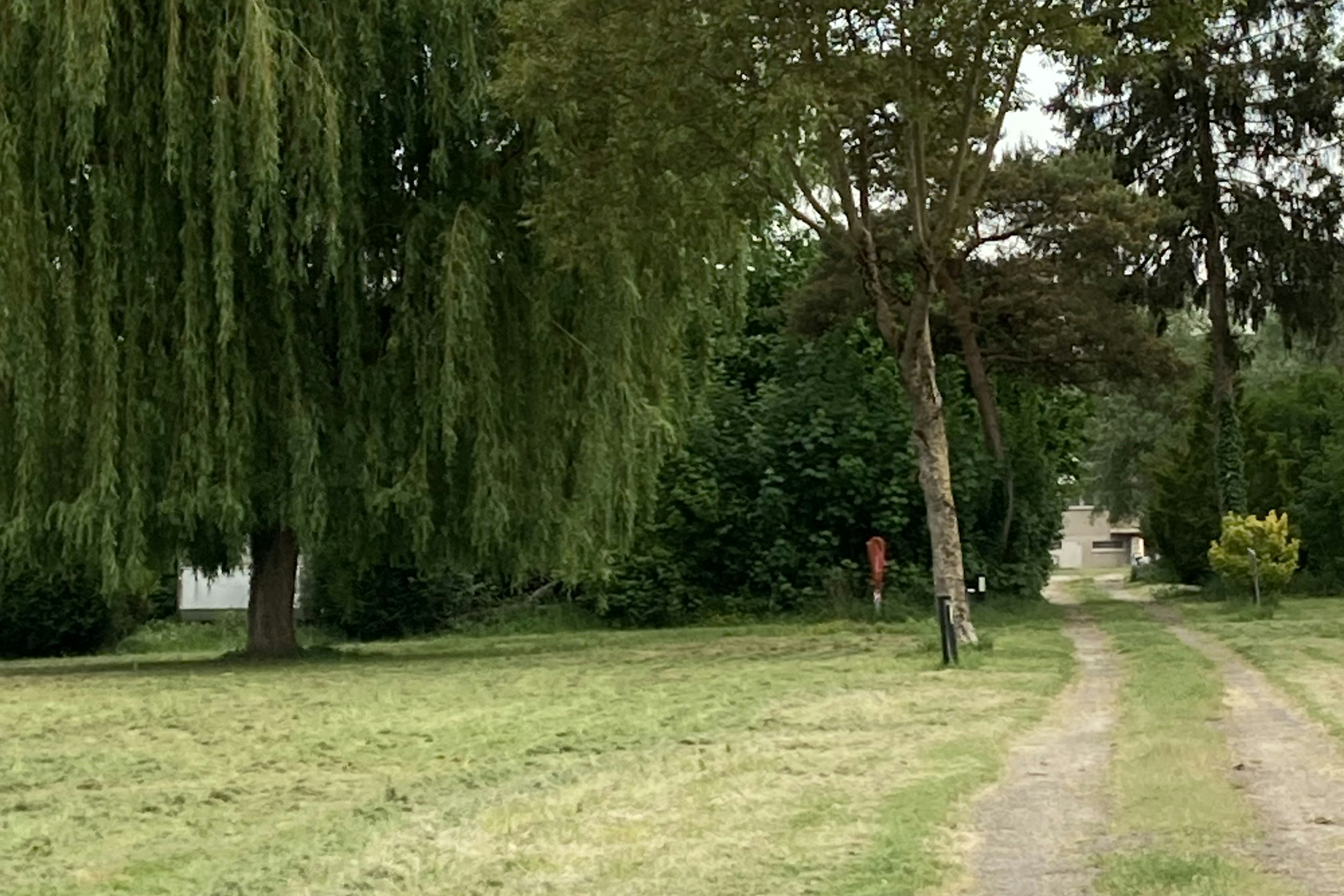 Camping l'Ile d'Amour - Standplatzwiese auf dem Campingplatz
