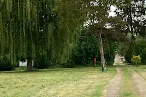 Camping l'Ile d'Amour - Standplatzwiese auf dem Campingplatz
