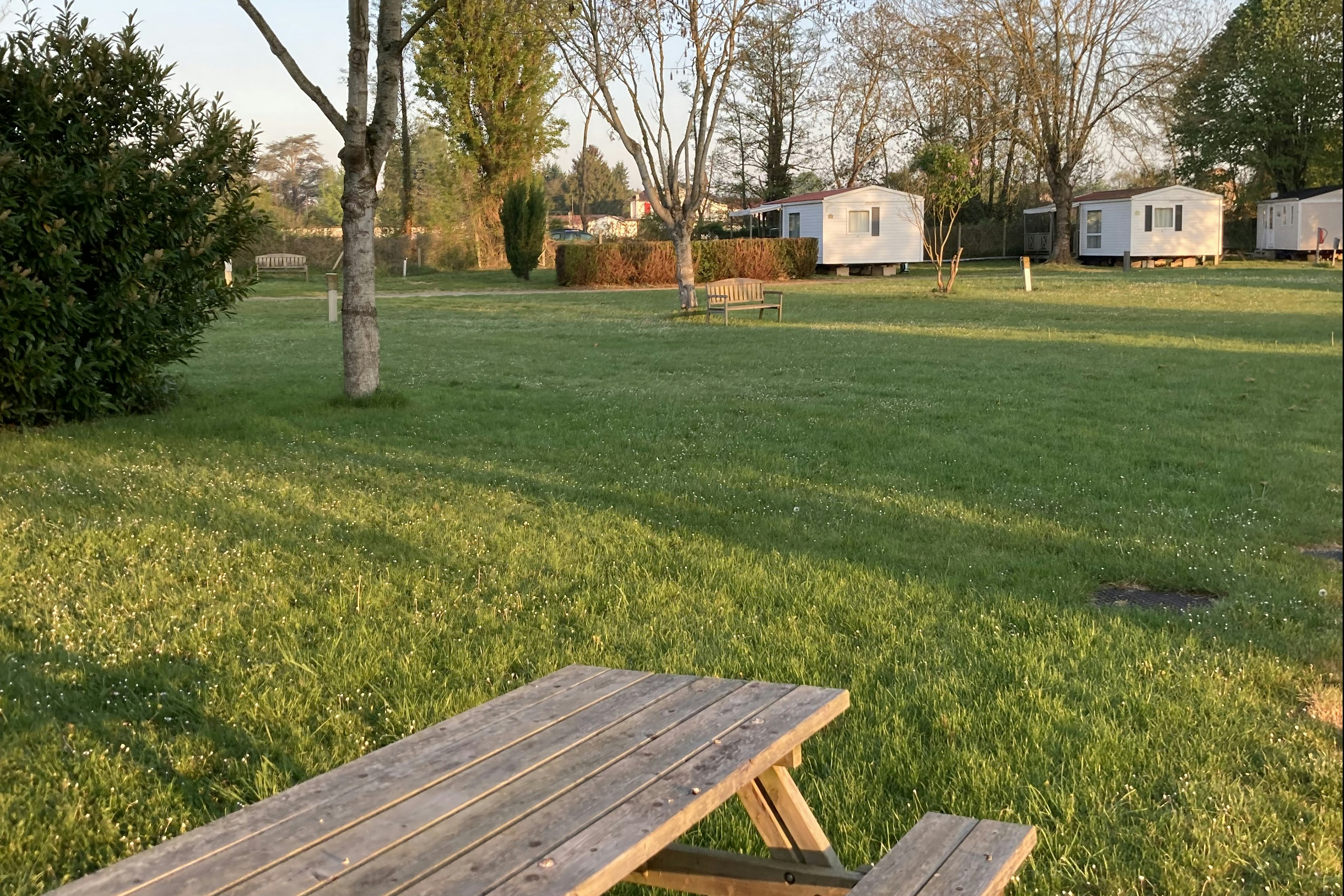 Camping l'Ile d'Amour - Standplatzwiese mit Mietunterkünften im Hintergrund