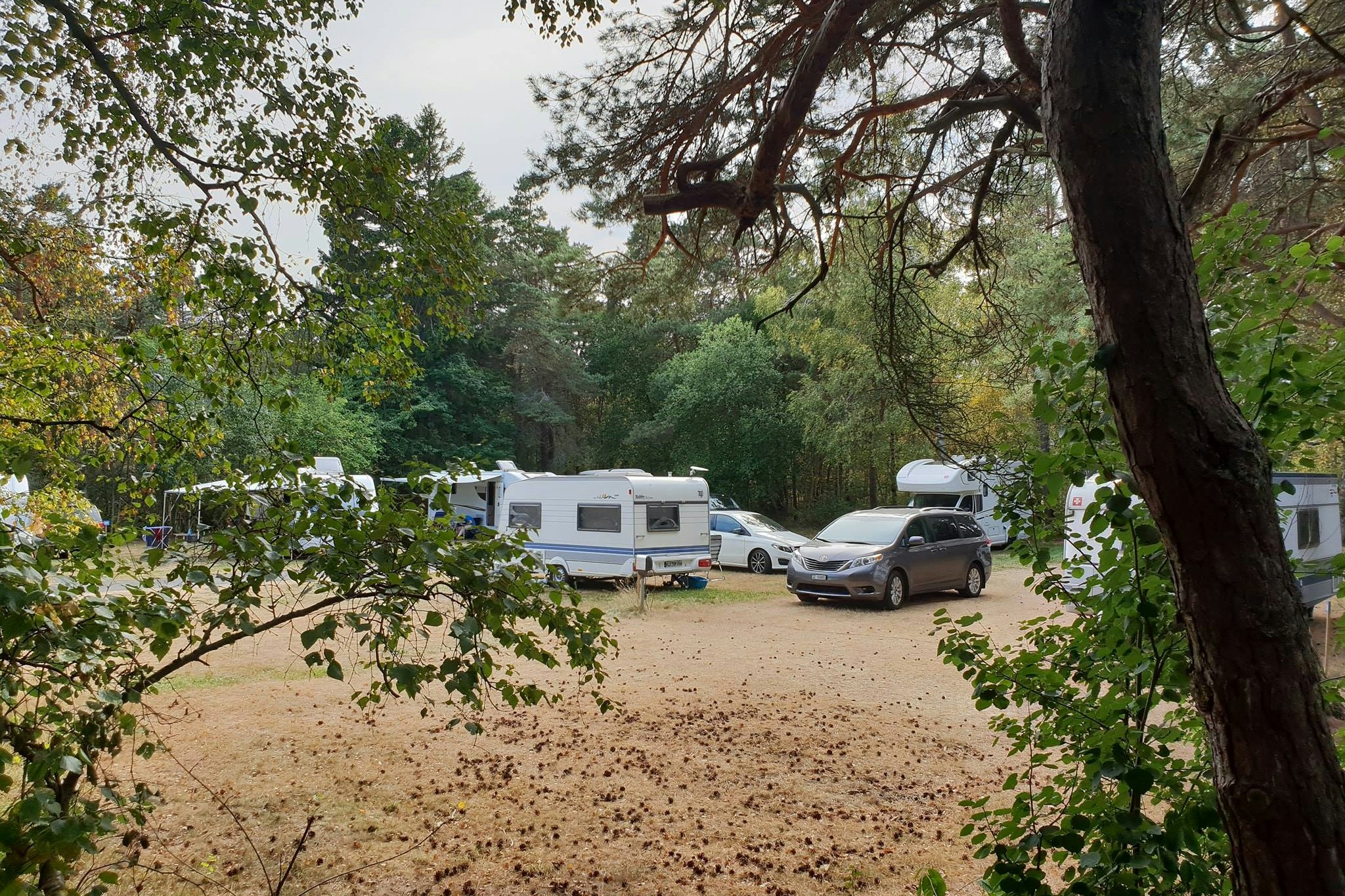 Göteborgs Camping Lilleby  First Camp Göteborgs - Lilleby - Standplätze umgeben von Bäumen