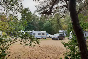 Göteborgs Camping Lilleby First Camp Göteborgs - Lilleby - Standplätze umgeben von Bäumen