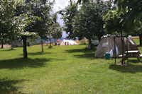 Camping Lindenhof  -  Wohnwagen- und Zeltstellplatz zwischen Bäumen auf dem Campingplatz