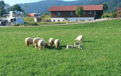 Camping Lindlbauer