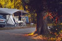 Camping Listro  -  Zeltstellplatz unter Bäumen auf dem Campingplatz