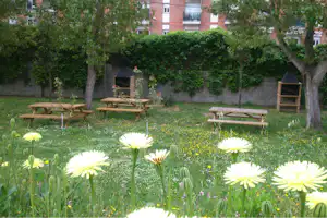 Camping Lloret Blau - Picknickplätze des Campingplatzes auf einer Wiese