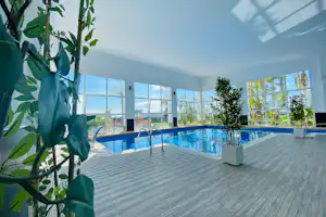 Schwimmbecken auf einer Holzterrasse mit Glasfront, im Hintergrund Bäume und große Fenster im modernen Campinggebäude.