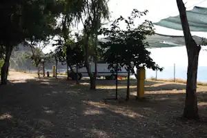 Campingplatz im Schatten von Bäumen, Zelte mit grünen Planen und Blick auf das Meer im Hintergrund.