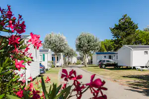 Camping L'Océan - Blick auf die Mobilheime und Parkplätze im Grünen mit Blumen